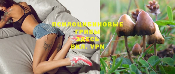 эйфоретик Магадан